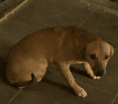 Chiquinha