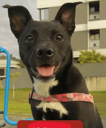 Nala