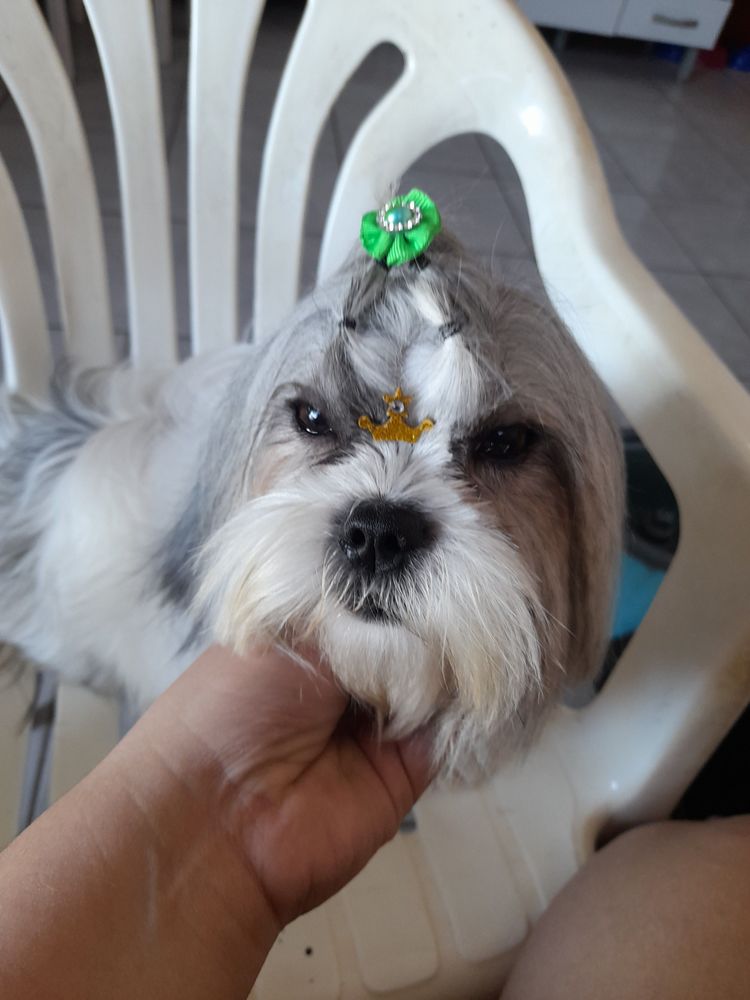 Luna