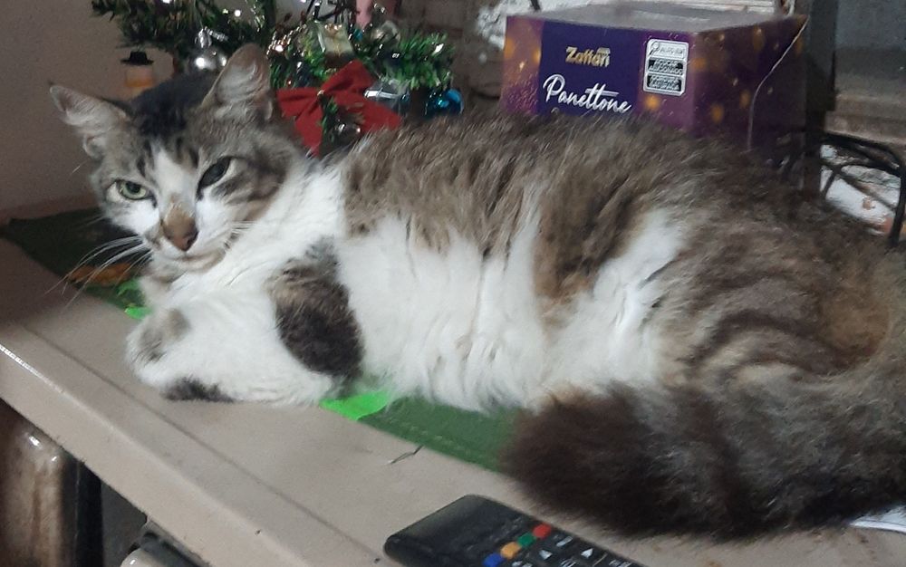 Luna