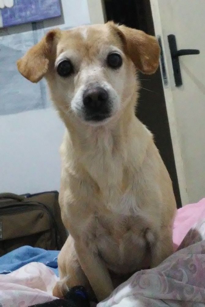 Malú