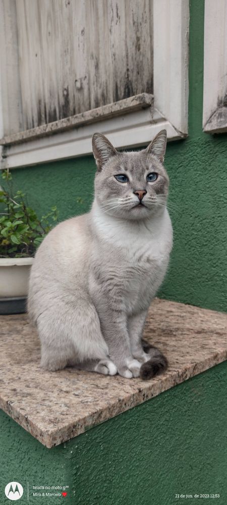 Luna