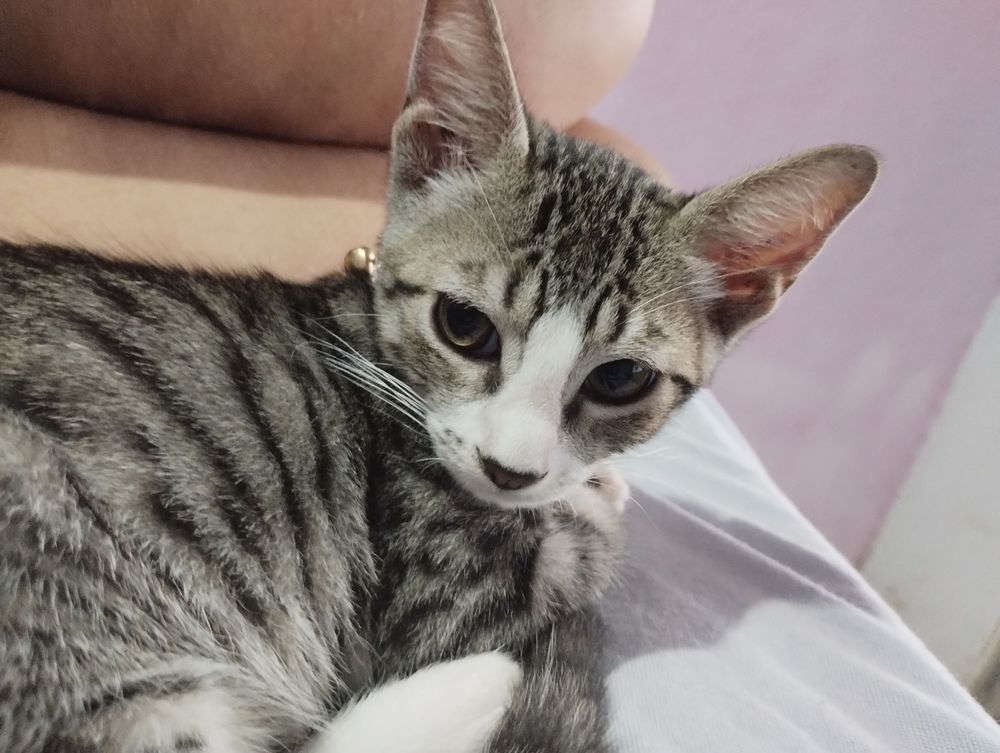 Tom