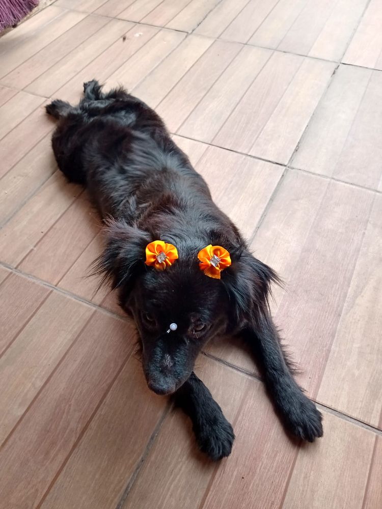 Linda