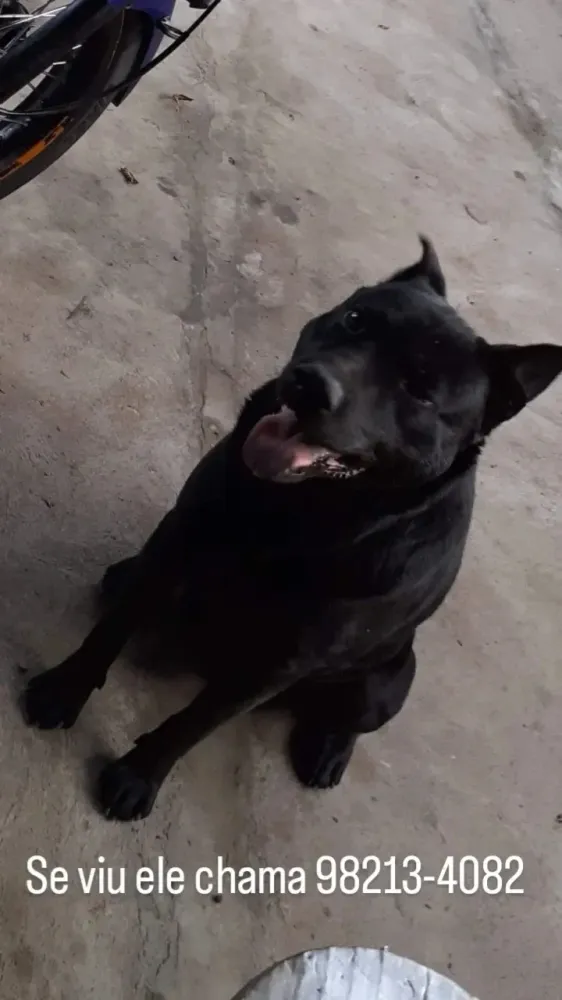 Preto