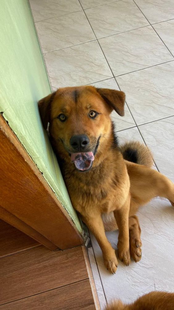 Thor