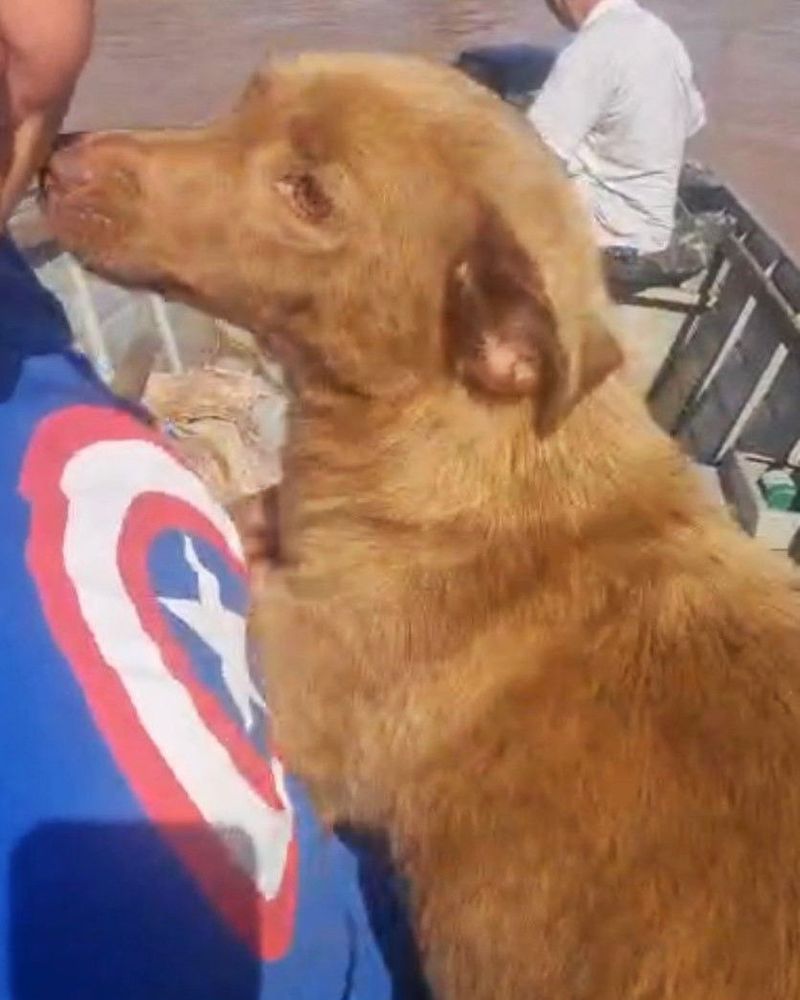 Thor