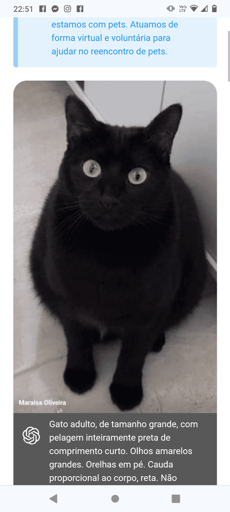 Missy