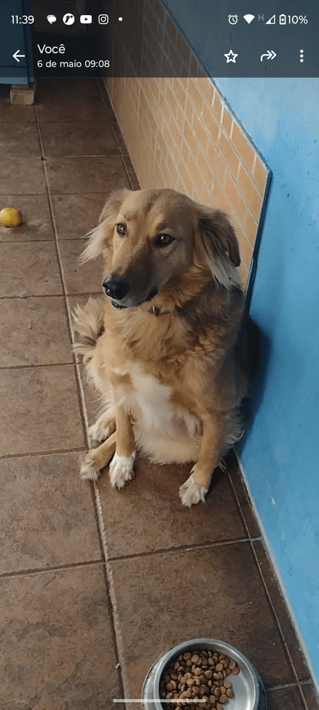 Lecie
