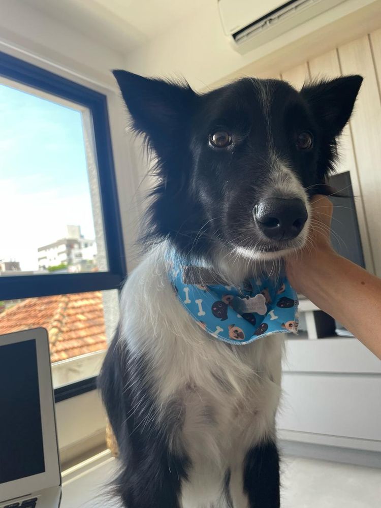 Sebastião