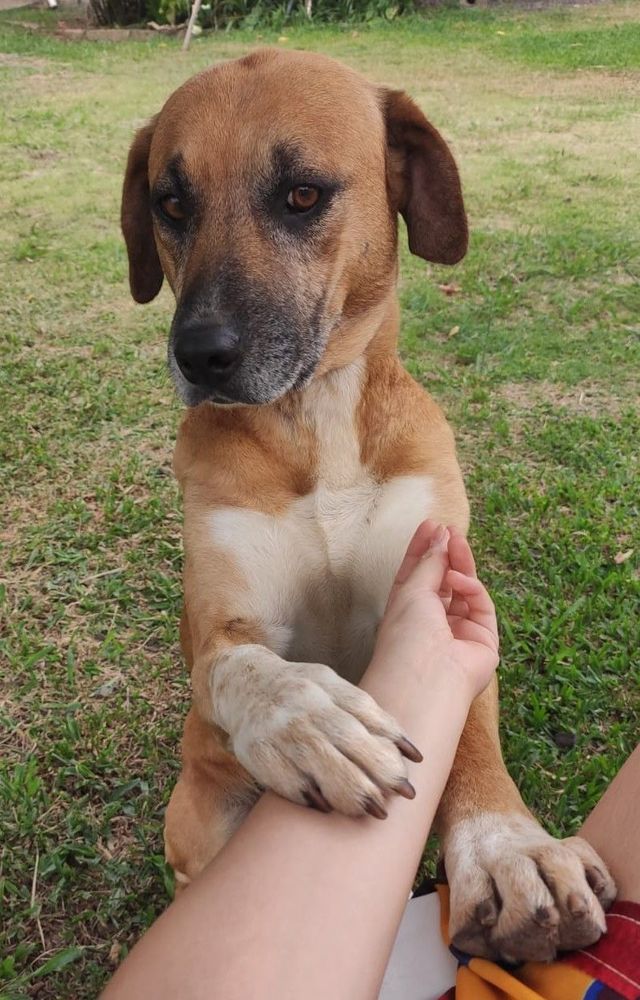 Zeus