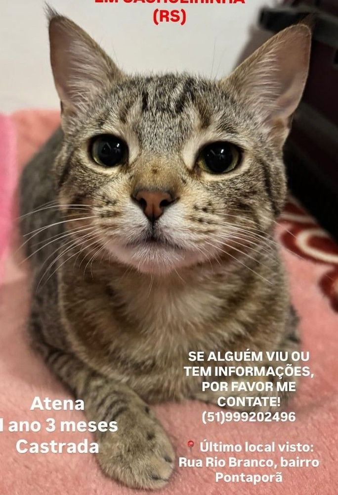 Atena