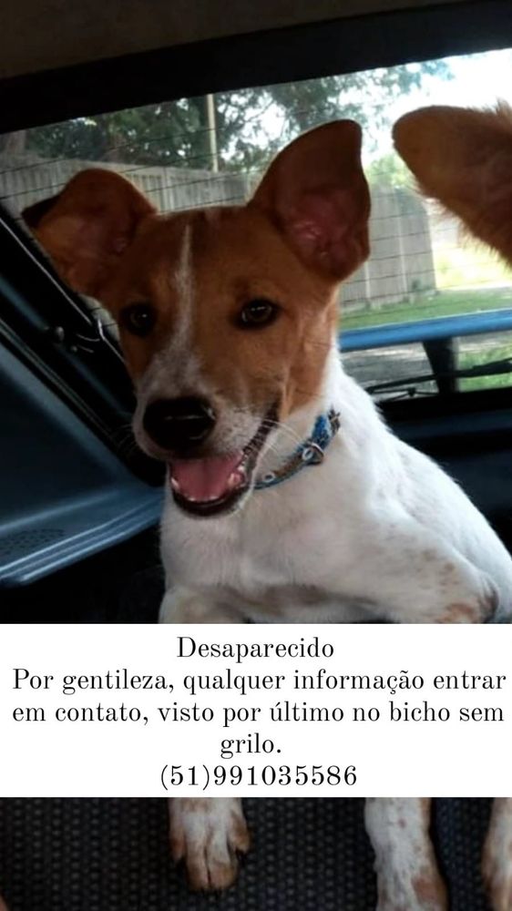 Maylon