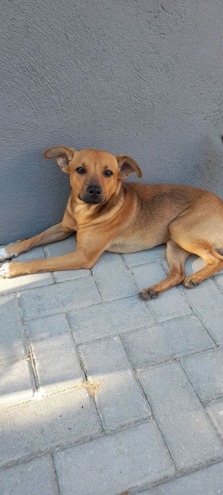 Asheley Gabriele Salazar dos Santos