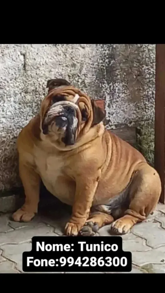 Tunico