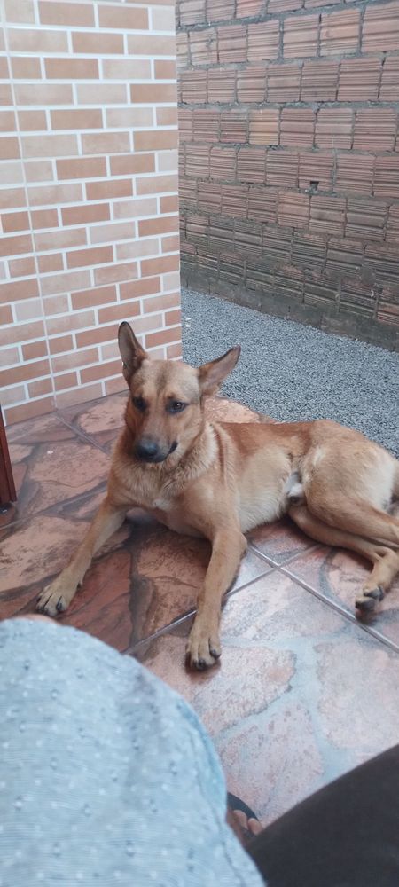 Thor