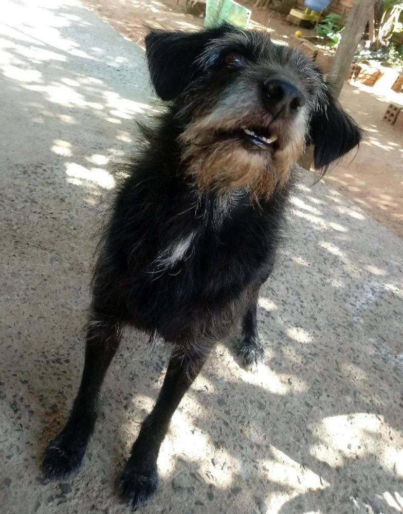 Bob