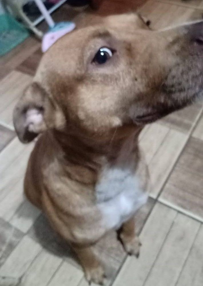Rowena