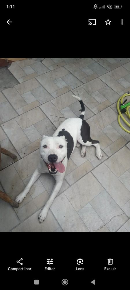 Bruce