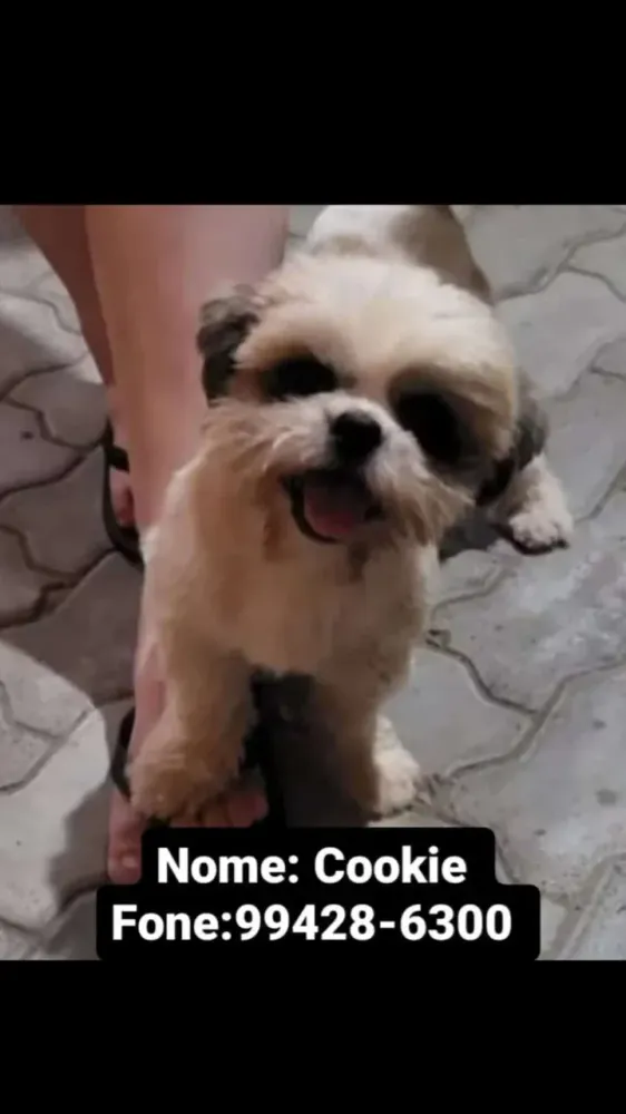 Cookie