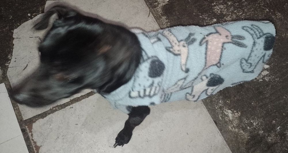 Jack