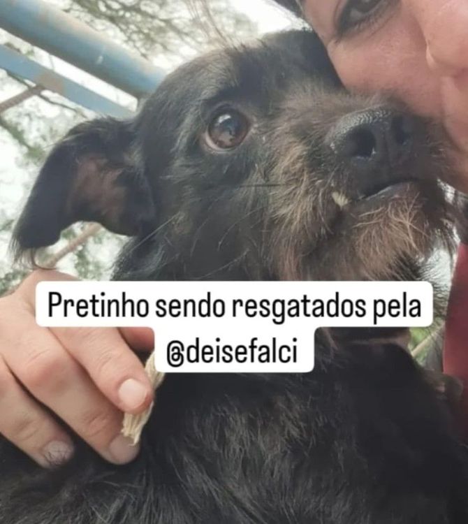 Pretinho