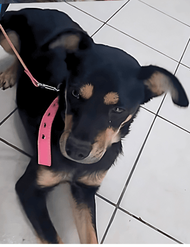 Luna