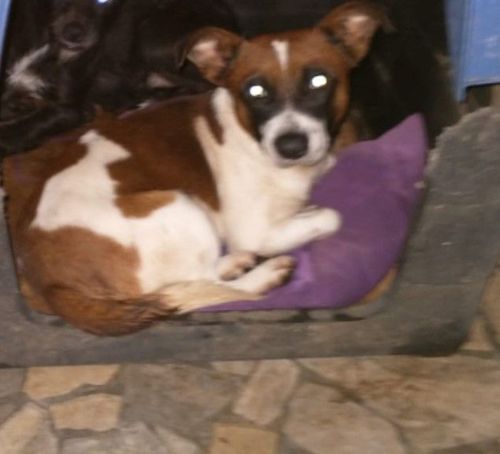 Boquinha