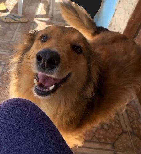 Margô