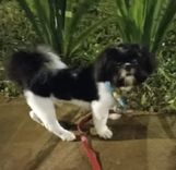 Camilo