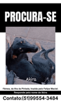 Akira