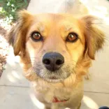 Nina
