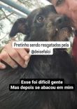Pretinho