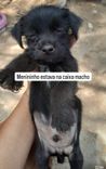Menininho