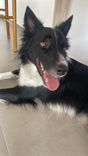 Sebastião