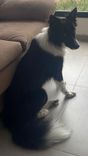 Sebastião