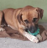 Zeus