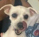 Luly
