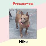 Micky