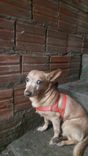 Micky