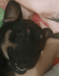 Tobby
