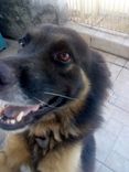 Charlie