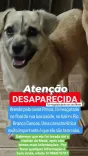 Pitoca