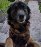 Charlie