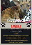 Amora