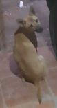 Fininha