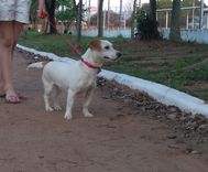 Marcha