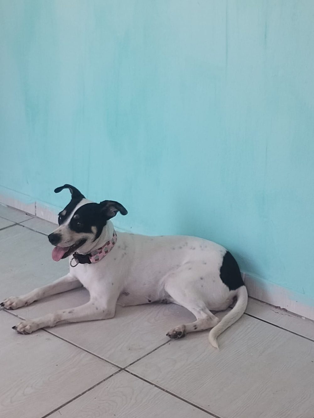 Não sei
