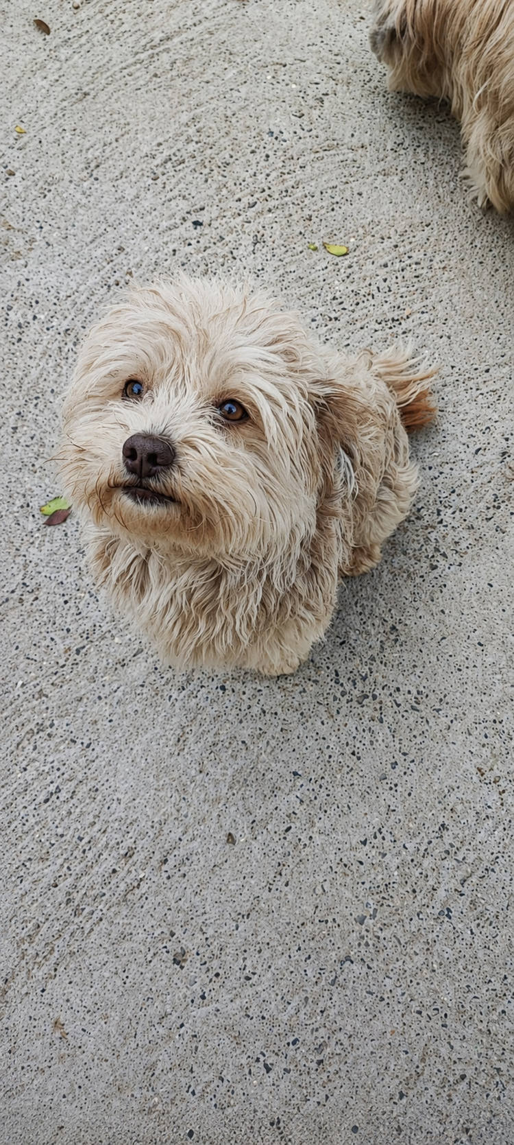 Spike
