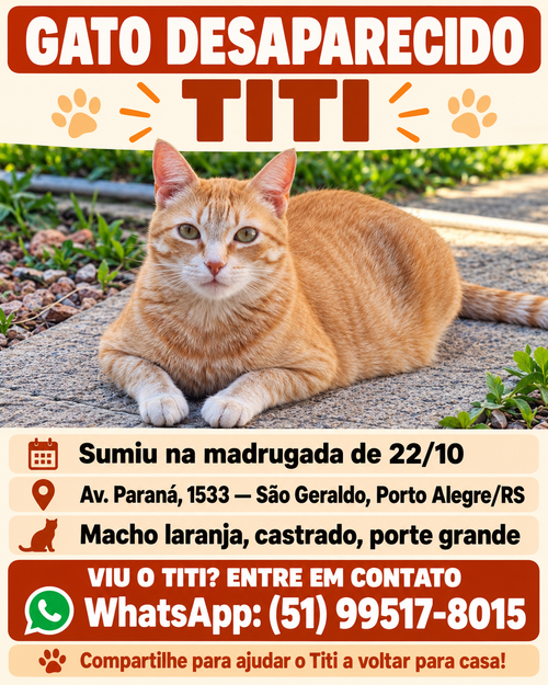 Titi/Tigrão